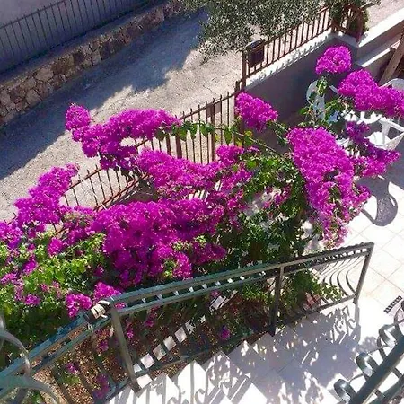 Livaja Apartment Apartment